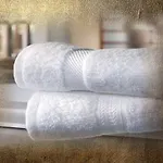Burg-hotel &