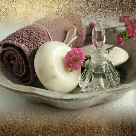 Burg-hotel & Hotel 3*