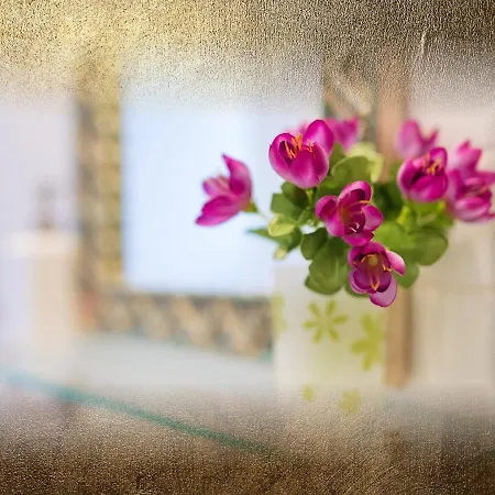 Hotel Burg-hotel & 3*