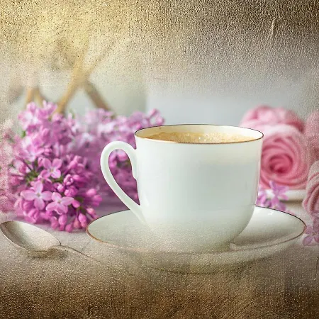 Burg-hotel & Отель 3*